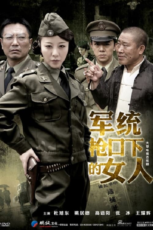 军统枪口下的女人 (2011)