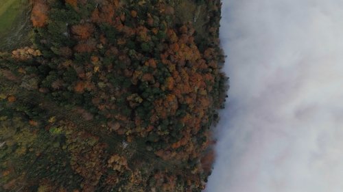 Sky Rides