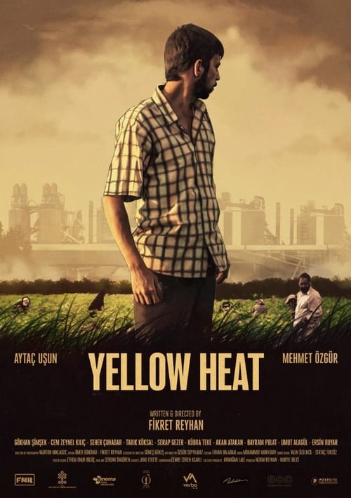 |TR| Yellow Heat