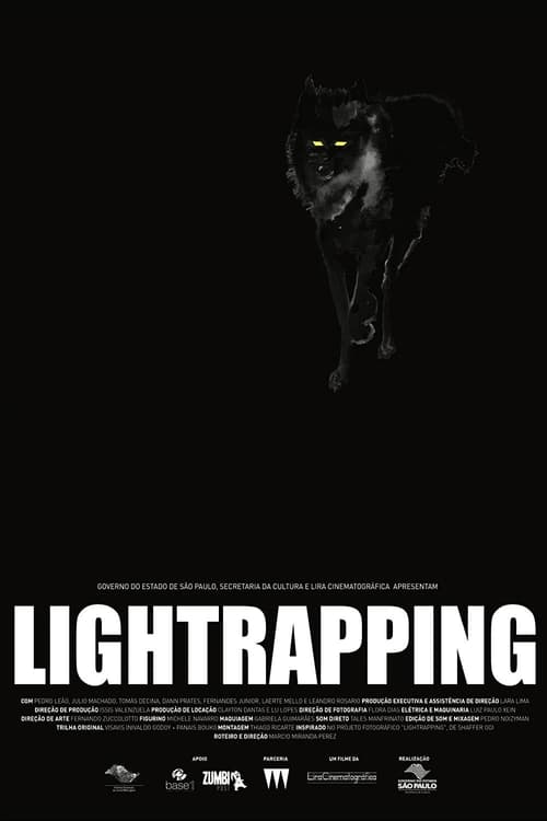 Lightrapping (2016)