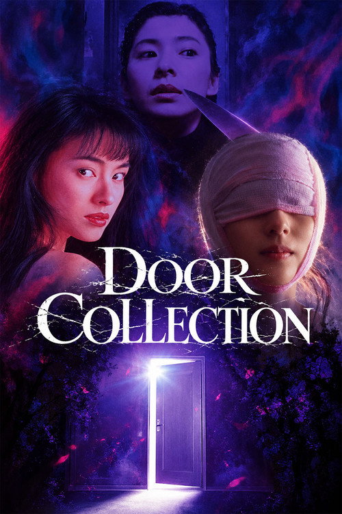 Door Collection poster