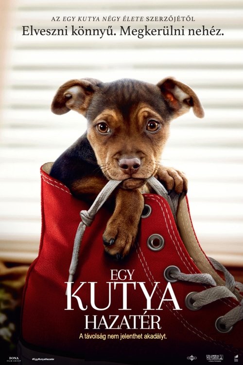 Egy kutya hazatér movie poster player