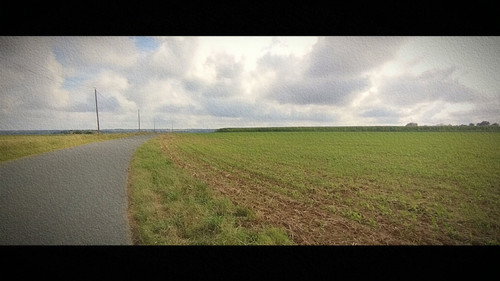 Wandering: The Art of Noticing