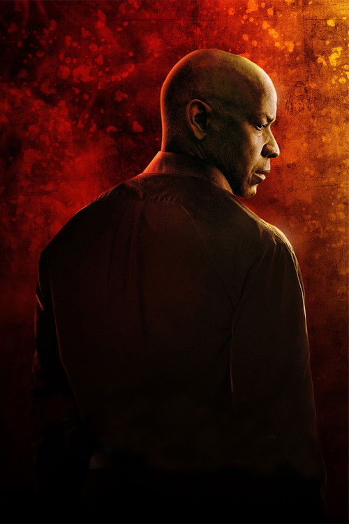 Pòster de The Equalizer (El protector) - Col·lecció