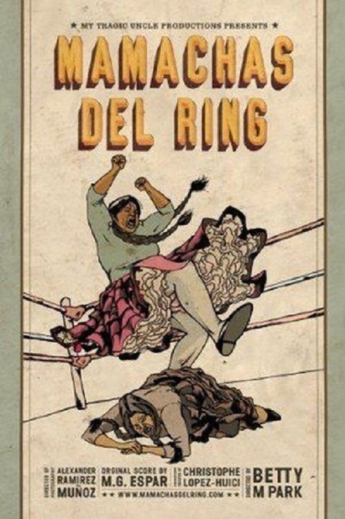 Mamachas Del Ring (2010) poster