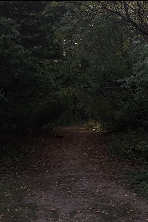 i don't know how, but i don't think i'm alone poster