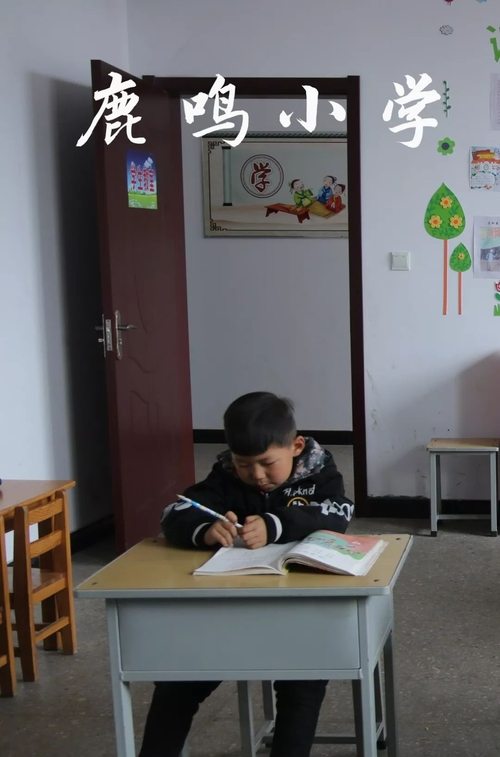 鹿鸣小学 movie poster player
