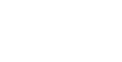 American Carnage
