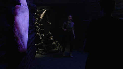 The Ark S3E8 backdrop