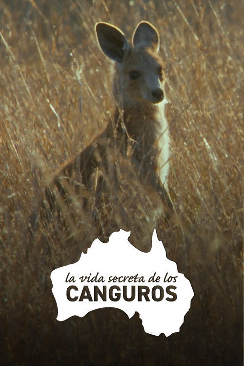 Affiche officielle OAV La Vida Secreta de los Canguros