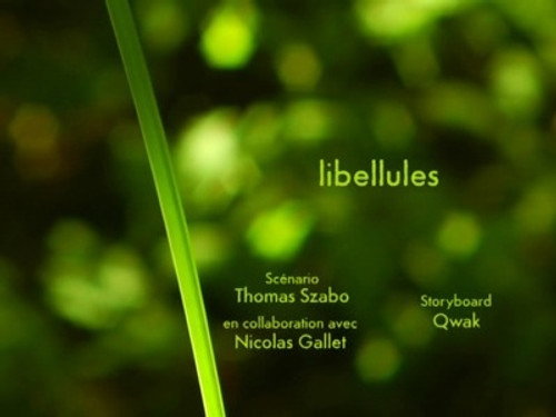 Image Libellules