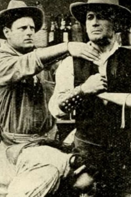 Broncho Billy and the Indian Maid (1912)