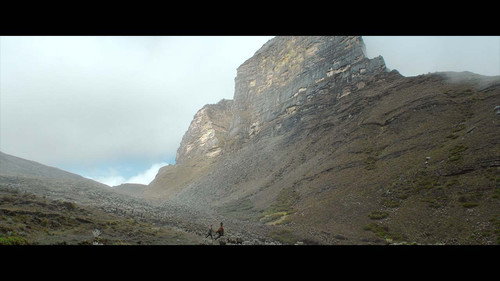 Into the fog still