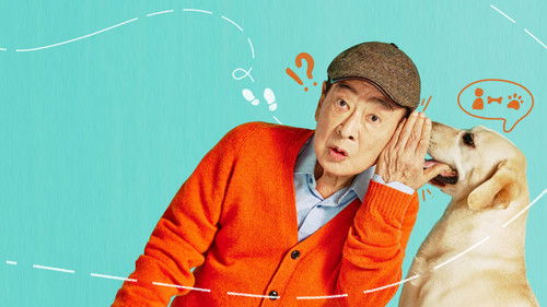 Dog Knows Everything backdrop 2