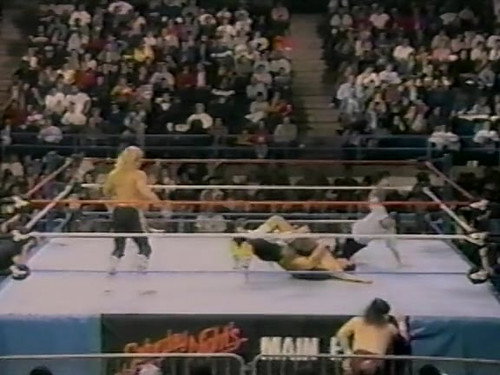November 19, 1988 - Superstars of Wrestling 116