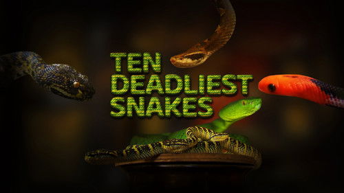 Ten Deadliest Snakes with Nigel Marven