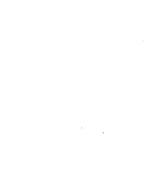 Voyage to the Bottom of the Sea