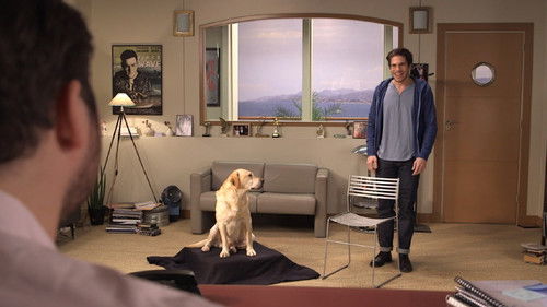 La planète des chiens