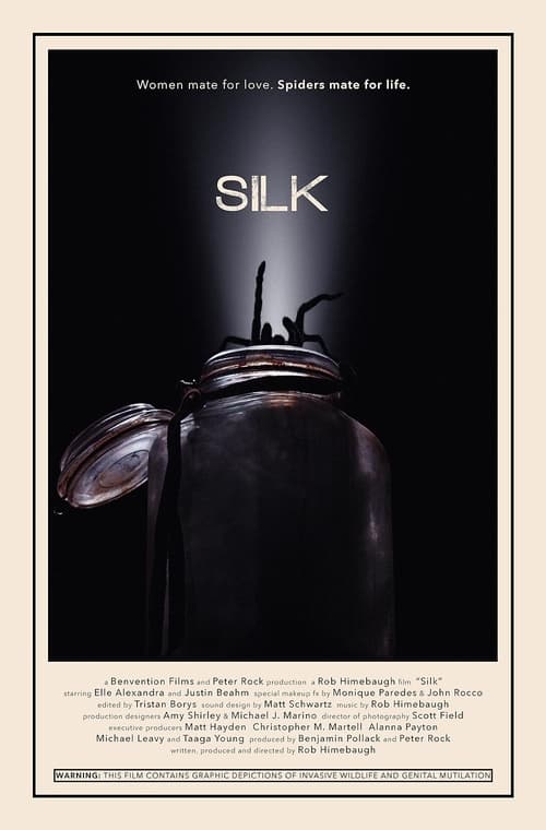 Poster Silk 2014