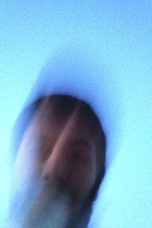 Foto de Xoán Fernández Diz