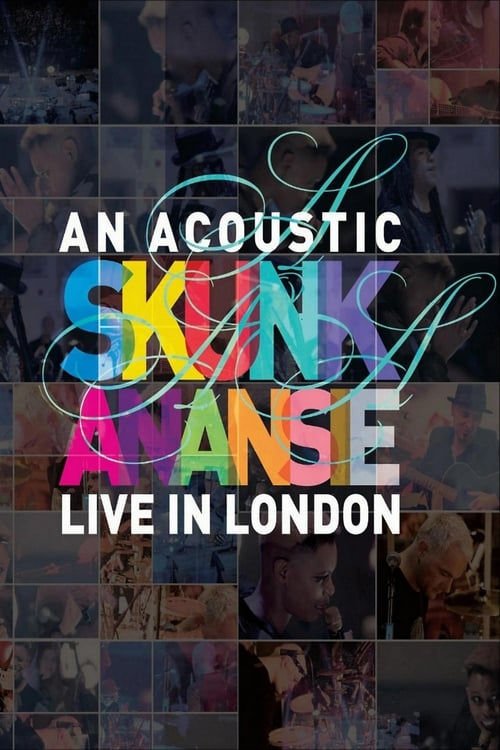 Skunk Anansie - An Acoustic Skunk Anansie Live In London 2013