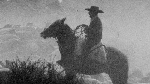 Under the Sky Shelter