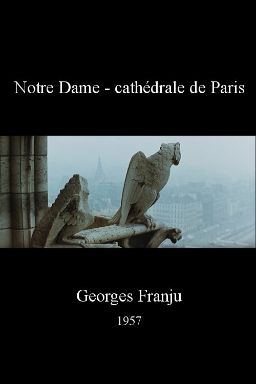 Notre Dame - cathédrale de Paris