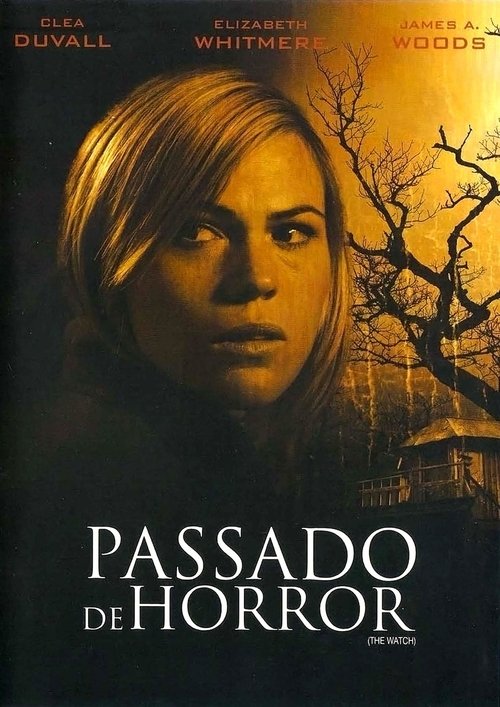 Pôster de Passado de Horror