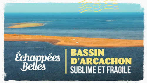 Image Bassin d'Arcachon, sublime et fragile