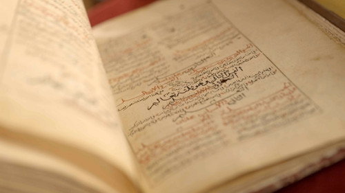 Les trésors oubliés de la médecine arabe