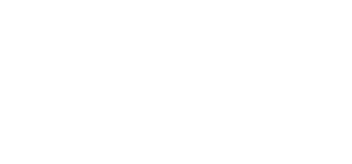 Silver Skates