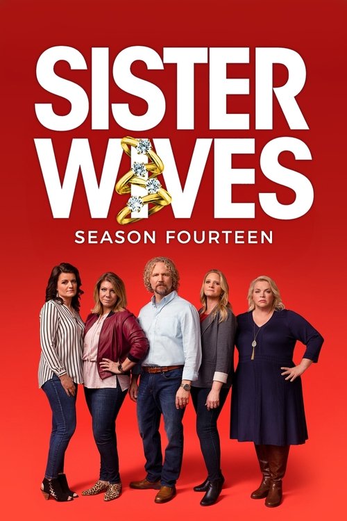 Where to stream Sister Wives Season 14