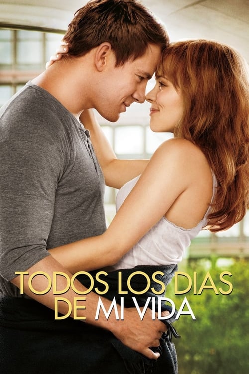 The Vow poster