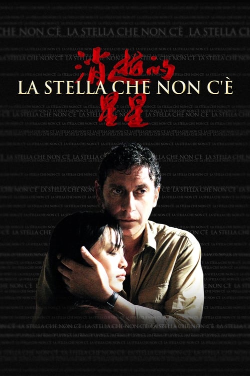 La stella che non c'è (2006) poster