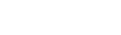Swiss Army Man