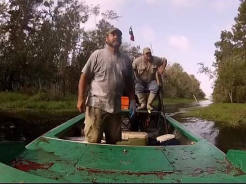 Poster della serie Swamp People