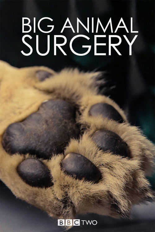 Escena 4 de Big Animal Surgery