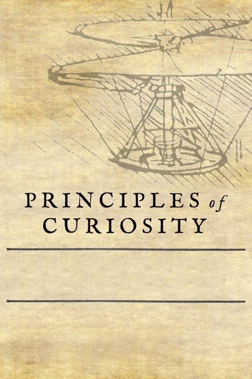 Principles of Curiosity 2017