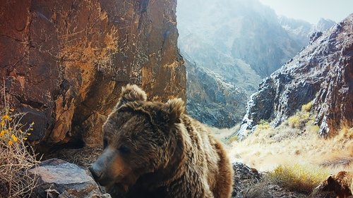 Ours