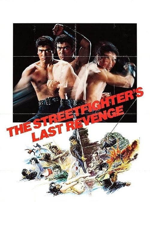 The Street Fighter's last Revenge (1974)