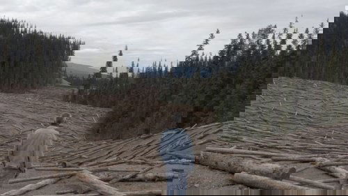 Image de l'épisode 5