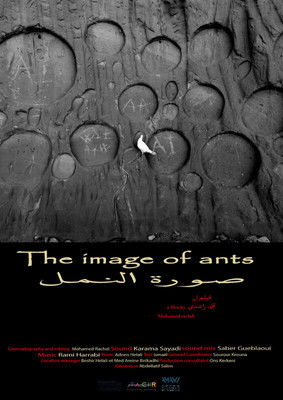 The image of ants