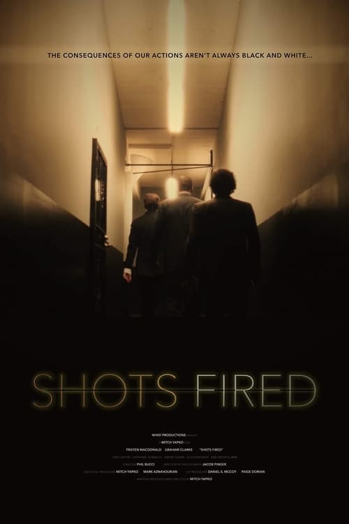 Shots Fired movie poster player
