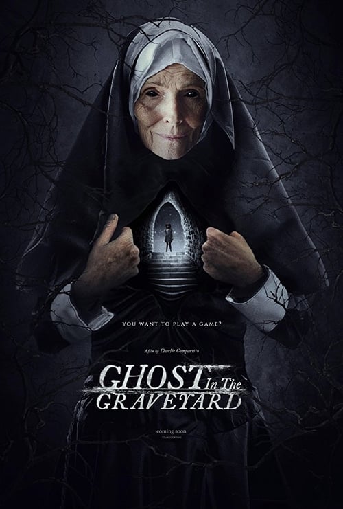 Poster 8