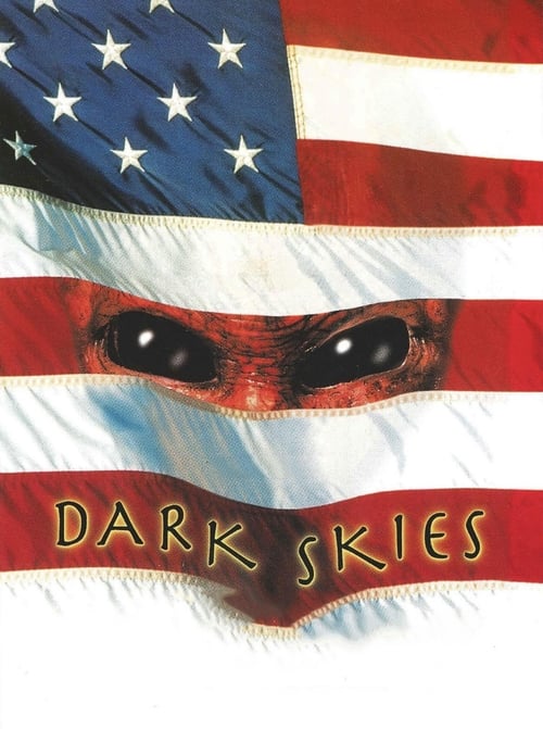 Poster Dark Skies 1996