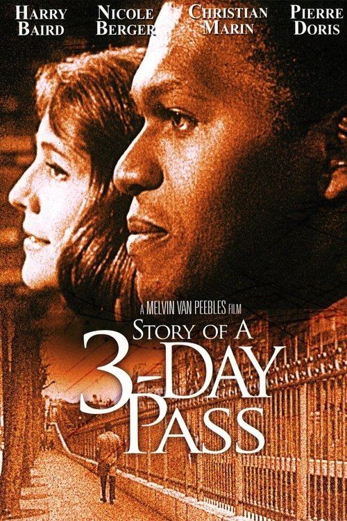 The Story of a Three-Day Pass poster