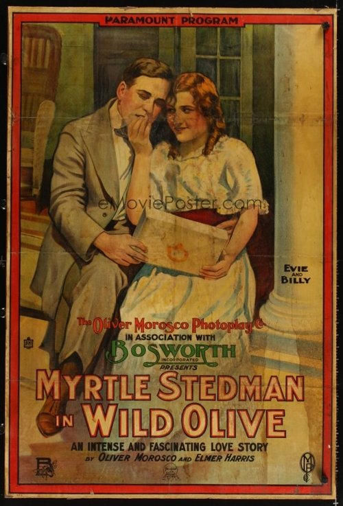 Poster of : The Wild Olive