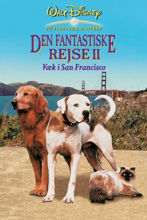 Homeward Bound II: Lost in San Francisco poster