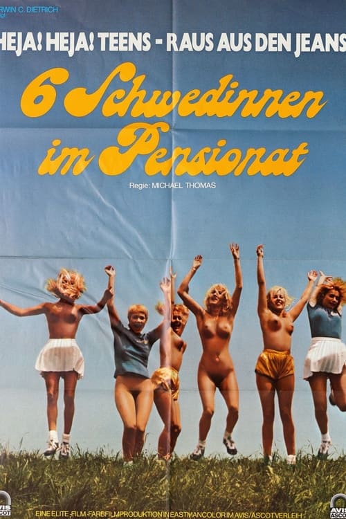 Sechs Schwedinnen im Pensionat (1979) poster