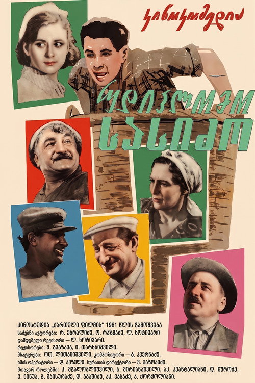Son-in-law without Diploma poster